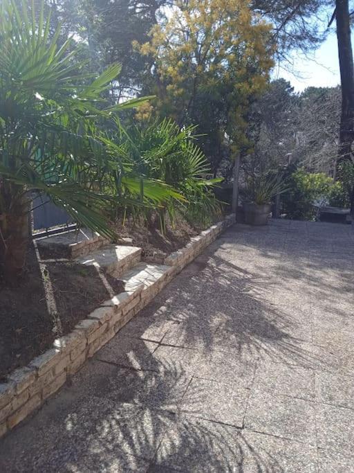 Maison Au Dessus Du Lac De Biscarrosse Exterior photo
